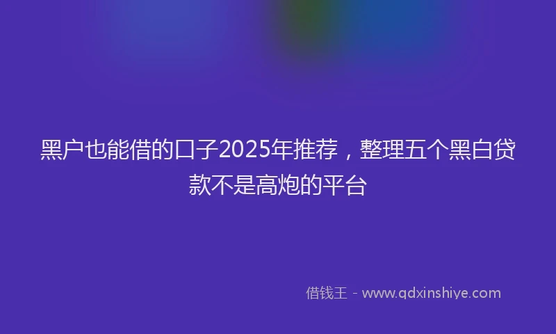 黑户也能借的口子2025年推荐，整理五个黑白贷款不是高炮的平台