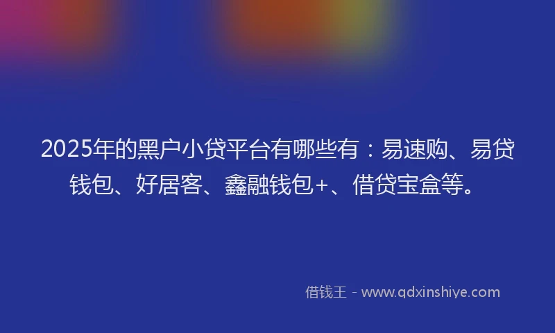 2025年的黑户小贷平台有哪些有：易速购、易贷钱包、好居客、鑫融钱包+、借贷宝盒等。