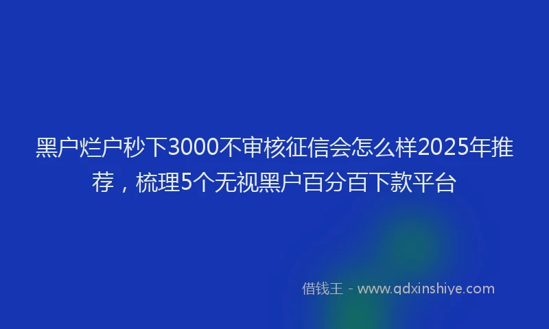 黑户烂户秒下3000不审核征信会怎么样2025年推荐，梳理5个无视黑户百分百下款平台