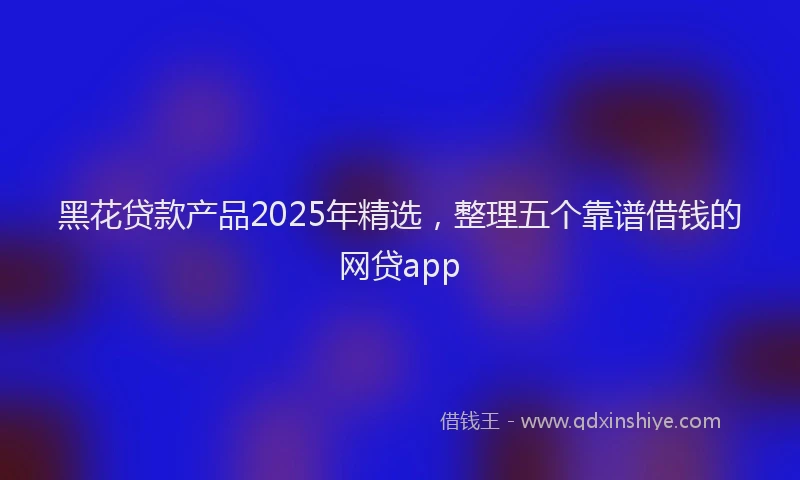 黑花贷款产品2025年精选，整理五个靠谱借钱的网贷app