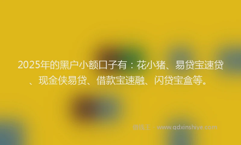 2025年的黑户小额口子有：花小猪、易贷宝速贷、现金侠易贷、借款宝速融、闪贷宝盒等。