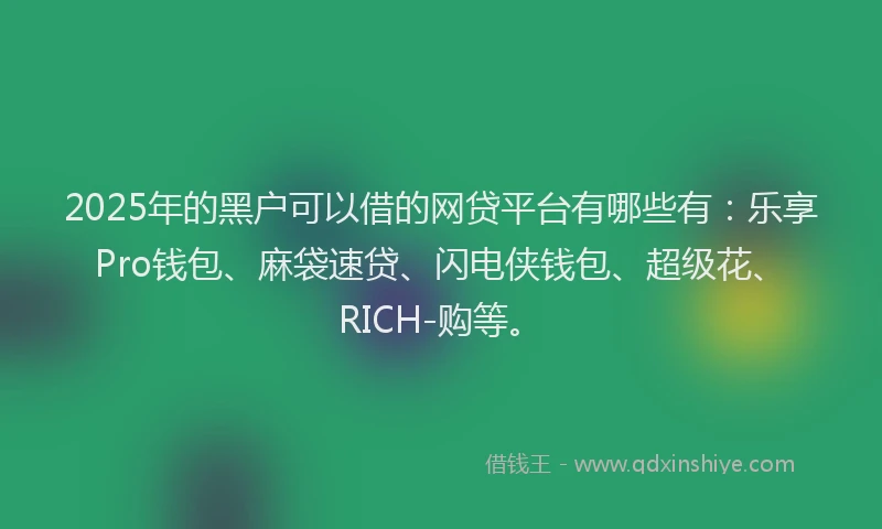 2025年的黑户可以借的网贷平台有哪些有：乐享Pro钱包、麻袋速贷、闪电侠钱包、超级花、RICH-购等。