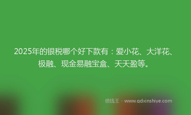 2025年的银税哪个好下款有：爱小花、大洋花、极融、现金易融宝盒、天天盈等。