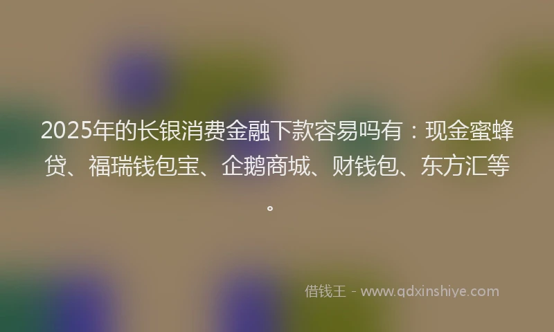 2025年的长银消费金融下款容易吗有：现金蜜蜂贷、福瑞钱包宝、企鹅商城、财钱包、东方汇等。