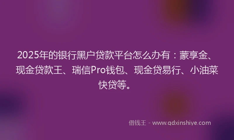 2025年的银行黑户贷款平台怎么办有：蒙享金、现金贷款王、瑞信Pro钱包、现金贷易行、小油菜快贷等。