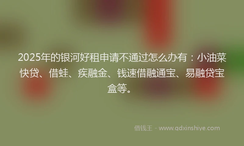 2025年的银河好租申请不通过怎么办有：小油菜快贷、借蛙、疾融金、钱速借融通宝、易融贷宝盒等。