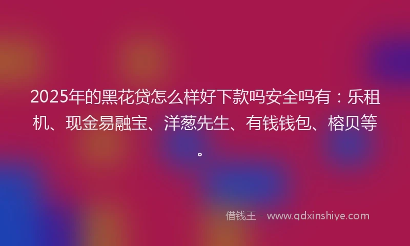 2025年的黑花贷怎么样好下款吗安全吗有：乐租机、现金易融宝、洋葱先生、有钱钱包、榕贝等。