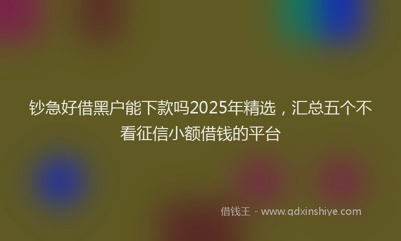 钞急好借黑户能下款吗2025年精选，汇总五个不看征信小额借钱的平台