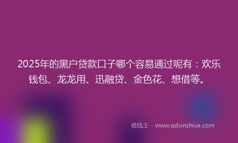 2025年的黑户贷款口子哪个容易通过呢有：欢乐钱包、龙龙用、迅融贷、金色花、想借等。
