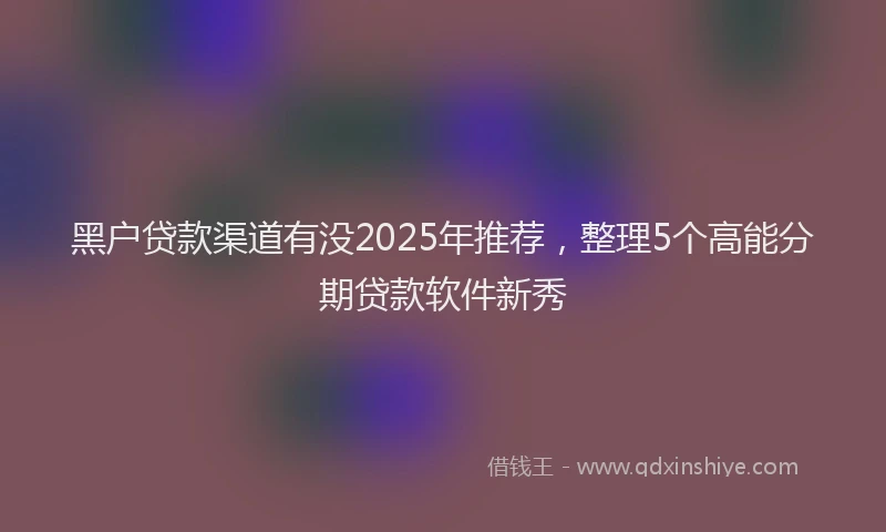黑户贷款渠道有没2025年推荐，整理5个高能分期贷款软件新秀