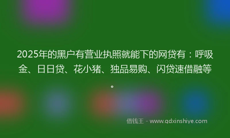 2025年的黑户有营业执照就能下的网贷有：呼吸金、日日贷、花小猪、独品易购、闪贷速借融等。