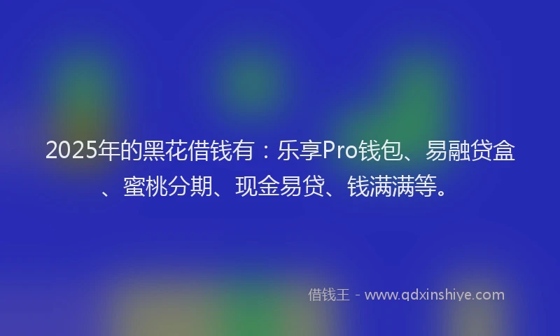 2025年的黑花借钱有：乐享Pro钱包、易融贷盒、蜜桃分期、现金易贷、钱满满等。
