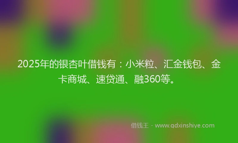 2025年的银杏叶借钱有：小米粒、汇金钱包、金卡商城、速贷通、融360等。