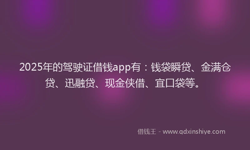 2025年的驾驶证借钱app有：钱袋瞬贷、金满仓贷、迅融贷、现金侠借、宜口袋等。