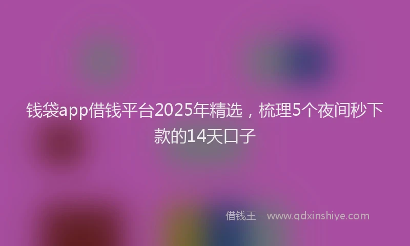 钱袋app借钱平台2025年精选，梳理5个夜间秒下款的14天口子