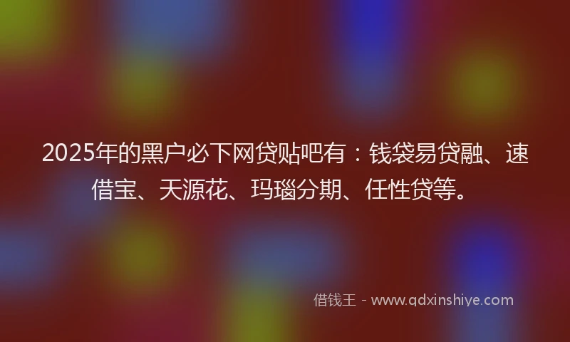 2025年的黑户必下网贷贴吧有：钱袋易贷融、速借宝、天源花、玛瑙分期、任性贷等。