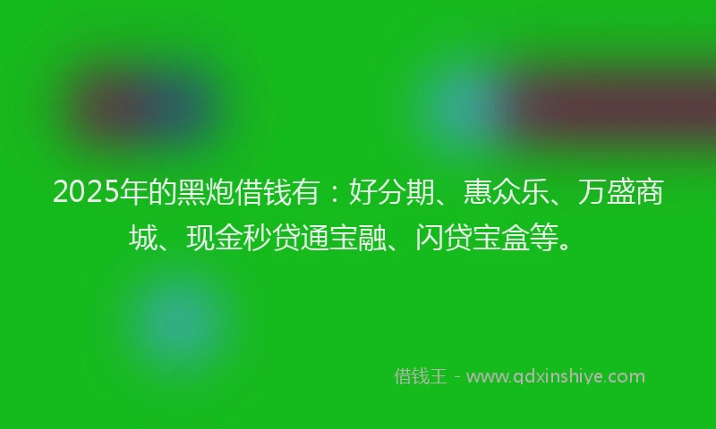 2025年的黑炮借钱有：好分期、惠众乐、万盛商城、现金秒贷通宝融、闪贷宝盒等。