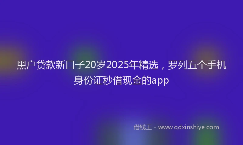 黑户贷款新口子20岁2025年精选，罗列五个手机身份证秒借现金的app