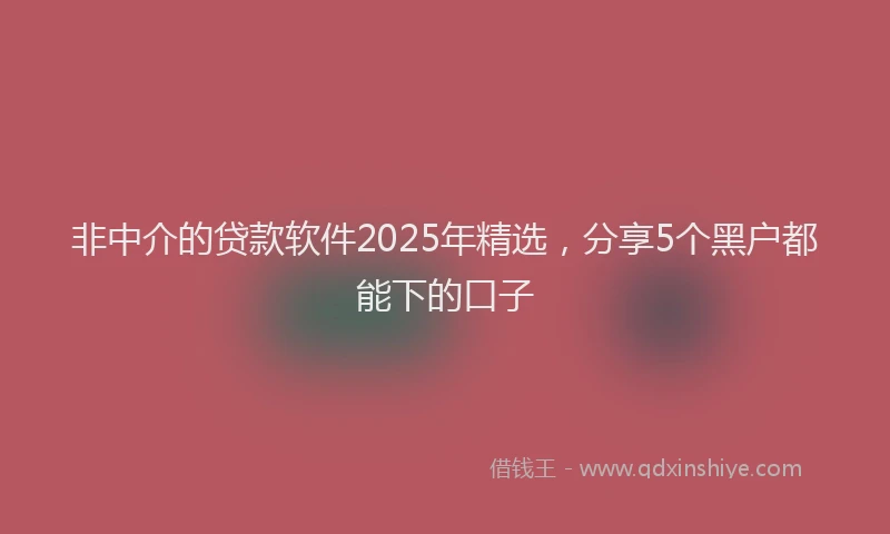 非中介的贷款软件2025年精选，分享5个黑户都能下的口子