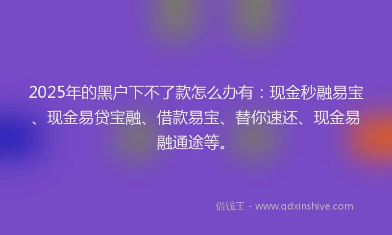 2025年的黑户下不了款怎么办有：现金秒融易宝、现金易贷宝融、借款易宝、替你速还、现金易融通途等。