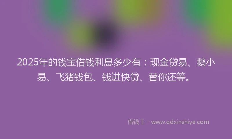 2025年的钱宝借钱利息多少有：现金贷易、鹅小易、飞猪钱包、钱进快贷、替你还等。