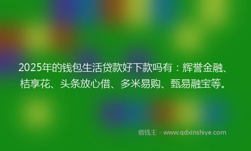 2025年的钱包生活贷款好下款吗有：辉誉金融、桔享花、头条放心借、多米易购、甄易融宝等。