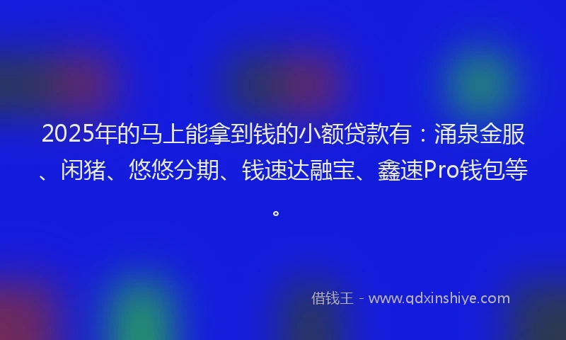 2025年的马上能拿到钱的小额贷款有：涌泉金服、闲猪、悠悠分期、钱速达融宝、鑫速Pro钱包等。