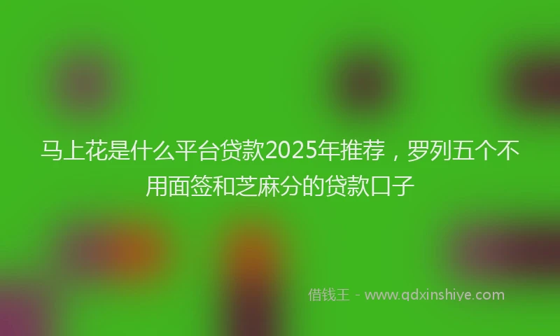 马上花是什么平台贷款2025年推荐，罗列五个不用面签和芝麻分的贷款口子