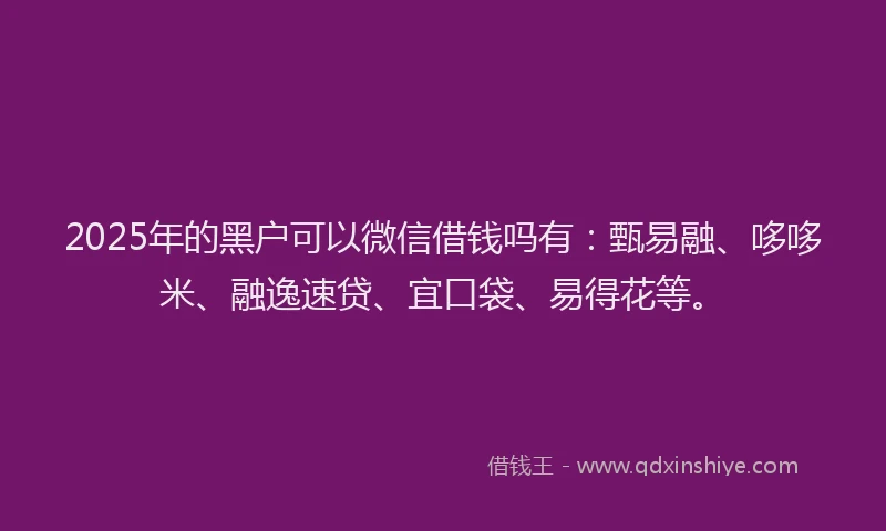 2025年的黑户可以微信借钱吗有：甄易融、哆哆米、融逸速贷、宜口袋、易得花等。