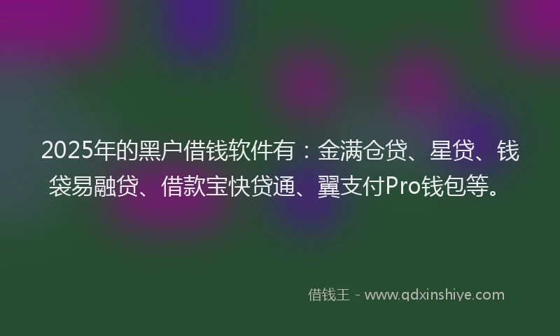2025年的黑户借钱软件有：金满仓贷、星贷、钱袋易融贷、借款宝快贷通、翼支付Pro钱包等。