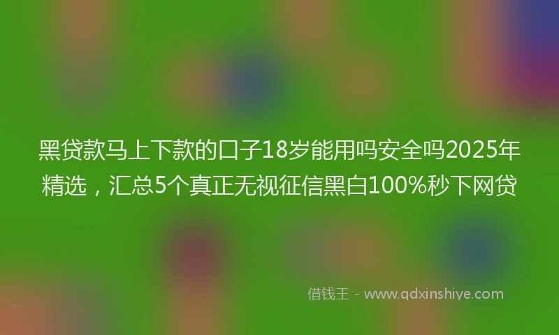黑贷款马上下款的口子18岁能用吗安全吗2025年精选，汇总5个真正无视征信黑白100%秒下网贷