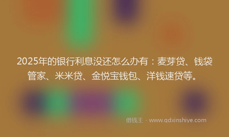 2025年的银行利息没还怎么办有：麦芽贷、钱袋管家、米米贷、金悦宝钱包、洋钱速贷等。