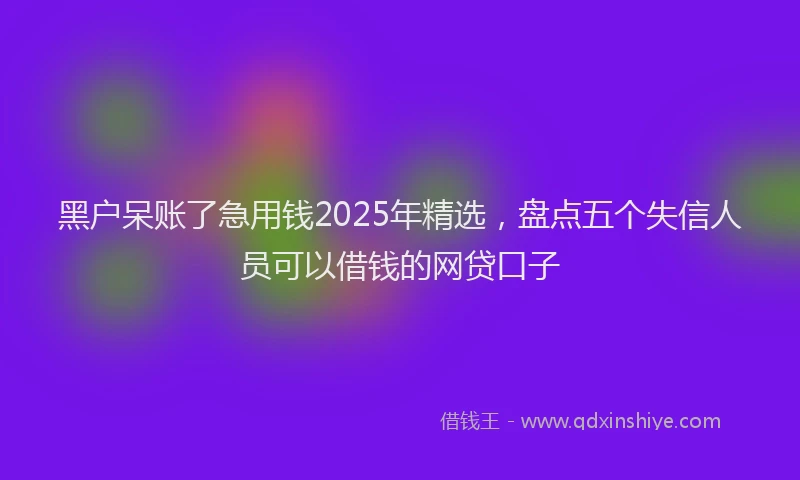 黑户呆账了急用钱2025年精选，盘点五个失信人员可以借钱的网贷口子