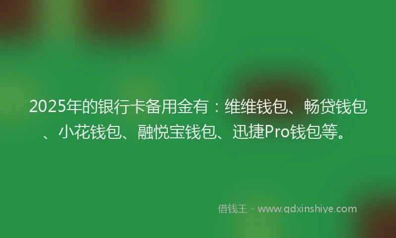 2025年的银行卡备用金有：维维钱包、畅贷钱包、小花钱包、融悦宝钱包、迅捷Pro钱包等。