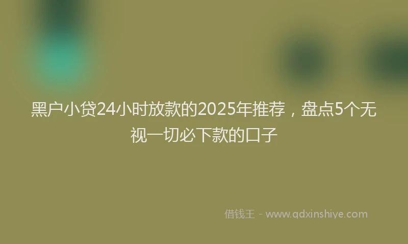 黑户小贷24小时放款的2025年推荐，盘点5个无视一切必下款的口子
