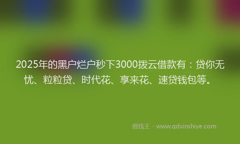 2025年的黑户烂户秒下3000拨云借款有：贷你无忧、粒粒贷、时代花、享来花、速贷钱包等。