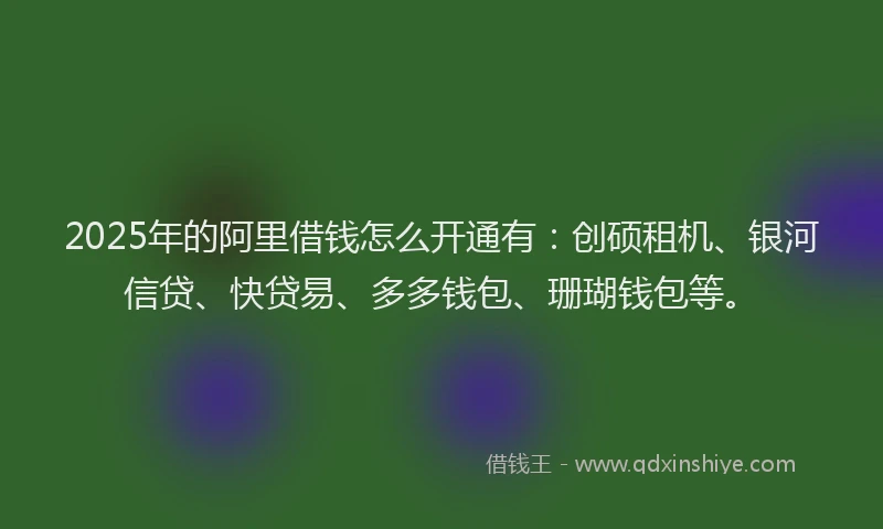 2025年的阿里借钱怎么开通有：创硕租机、银河信贷、快贷易、多多钱包、珊瑚钱包等。