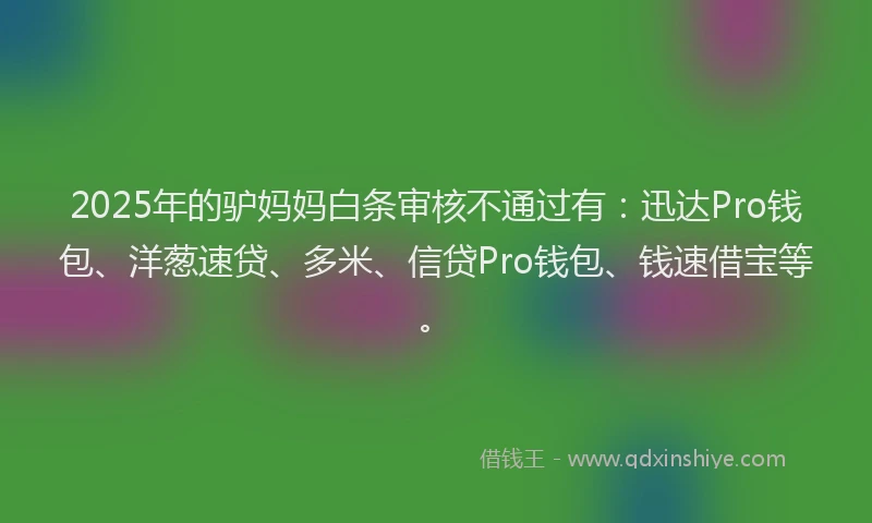 2025年的驴妈妈白条审核不通过有：迅达Pro钱包、洋葱速贷、多米、信贷Pro钱包、钱速借宝等。