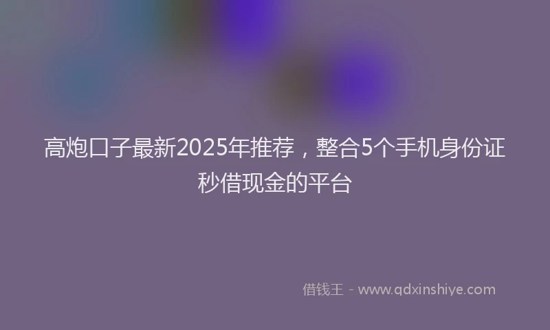 高炮口子最新2025年推荐，整合5个手机身份证秒借现金的平台