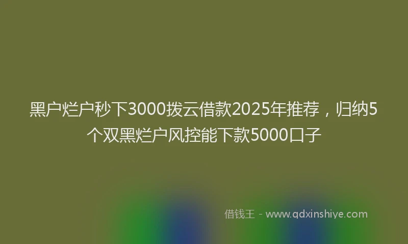 黑户烂户秒下3000拨云借款2025年推荐，归纳5个双黑烂户风控能下款5000口子