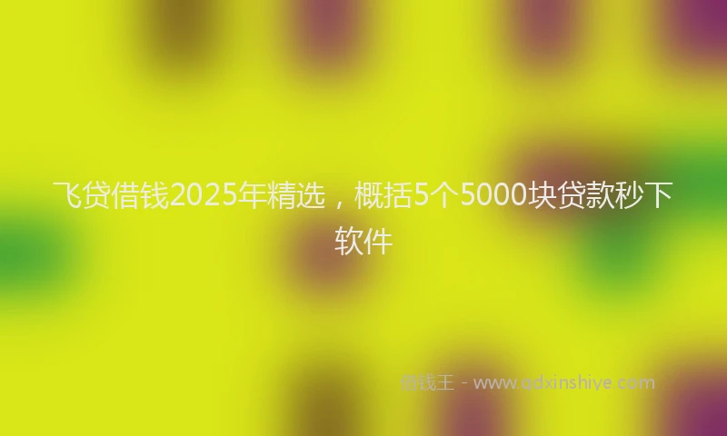 飞贷借钱2025年精选，概括5个5000块贷款秒下软件