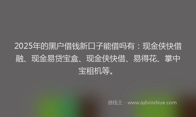 2025年的黑户借钱新口子能借吗有：现金侠快借融、现金易贷宝盒、现金侠快借、易得花、掌中宝租机等。