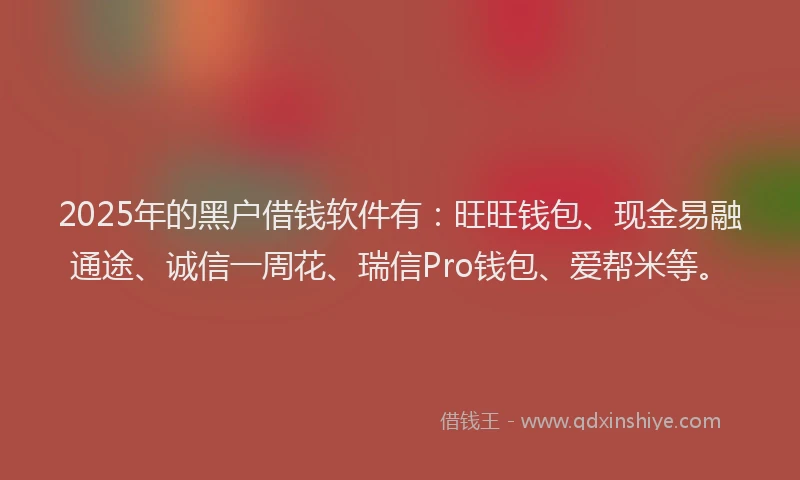 2025年的黑户借钱软件有：旺旺钱包、现金易融通途、诚信一周花、瑞信Pro钱包、爱帮米等。