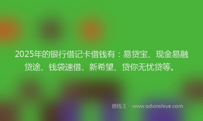 2025年的银行借记卡借钱有：易贷宝、现金易融贷途、钱袋速借、新希望、贷你无忧贷等。