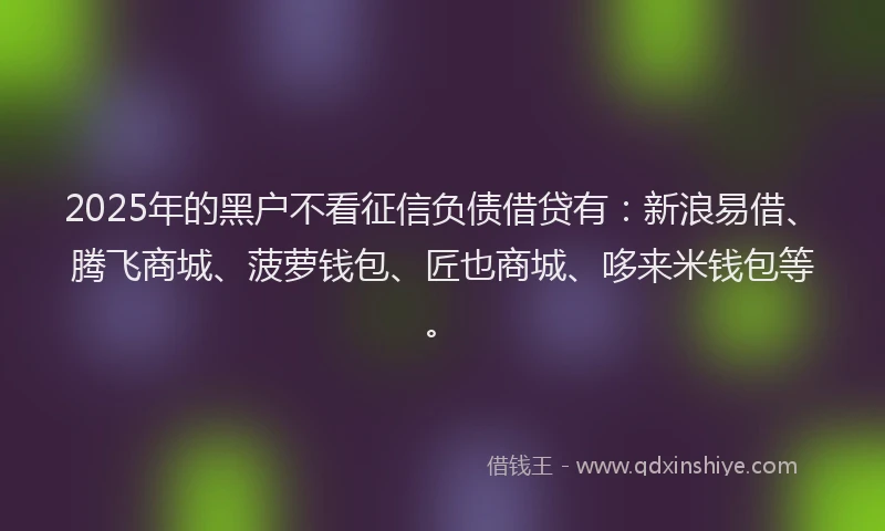 2025年的黑户不看征信负债借贷有：新浪易借、腾飞商城、菠萝钱包、匠也商城、哆来米钱包等。