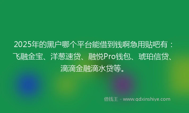 2025年的黑户哪个平台能借到钱啊急用贴吧有：飞融金宝、洋葱速贷、融悦Pro钱包、琥珀信贷、滴滴金融滴水贷等。