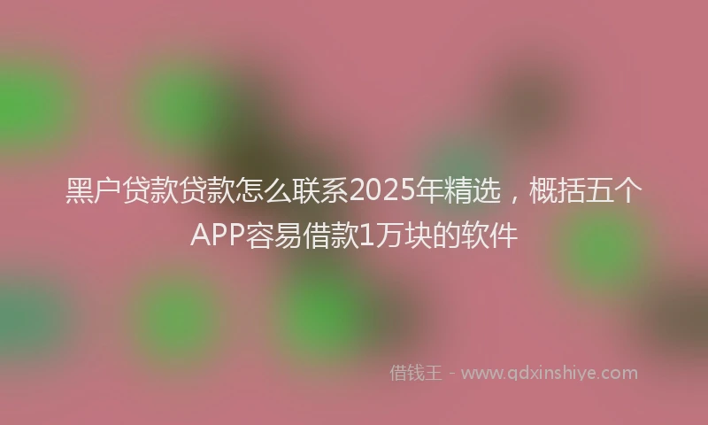 黑户贷款贷款怎么联系2025年精选，概括五个APP容易借款1万块的软件
