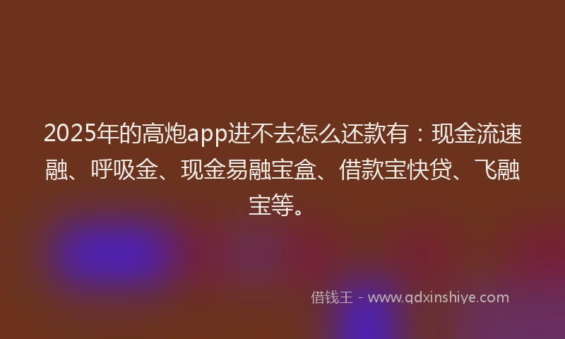 2025年的高炮app进不去怎么还款有：现金流速融、呼吸金、现金易融宝盒、借款宝快贷、飞融宝等。