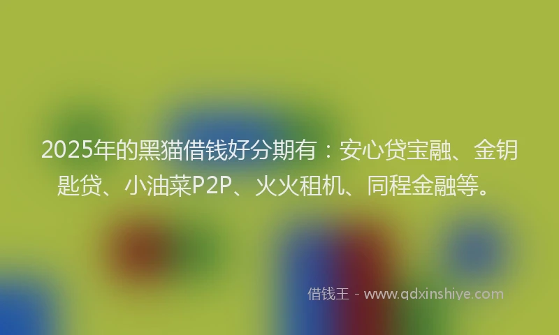 2025年的黑猫借钱好分期有：安心贷宝融、金钥匙贷、小油菜P2P、火火租机、同程金融等。