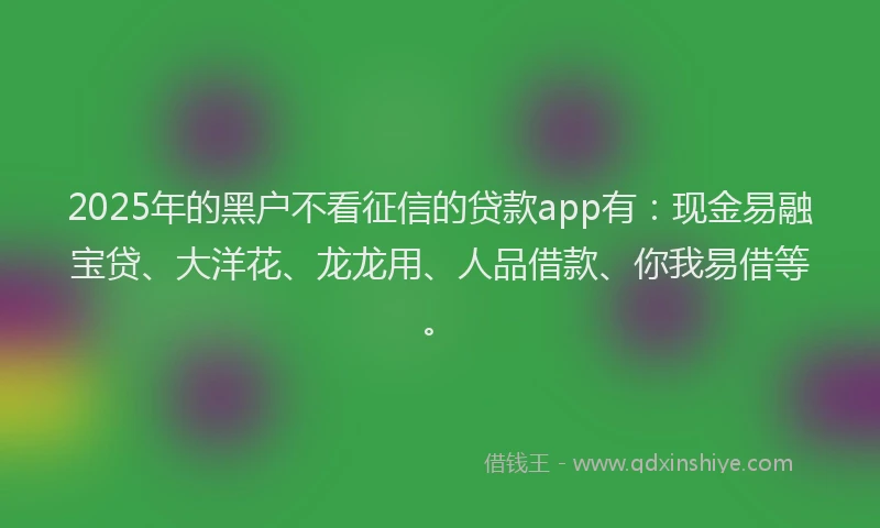 2025年的黑户不看征信的贷款app有：现金易融宝贷、大洋花、龙龙用、人品借款、你我易借等。